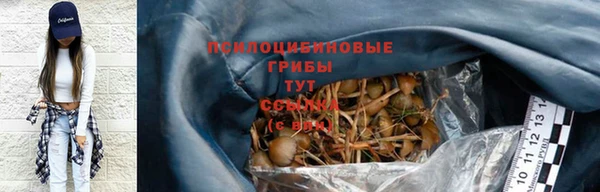 шишки Алзамай