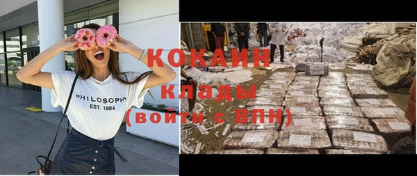 шишки Алзамай