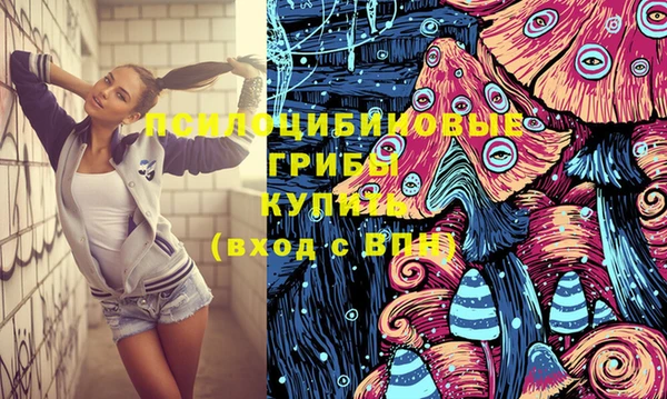 шишки Алзамай