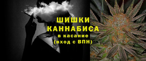 шишки Алзамай